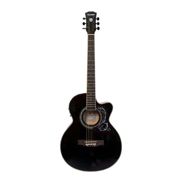 Semi Acoustic Guitar